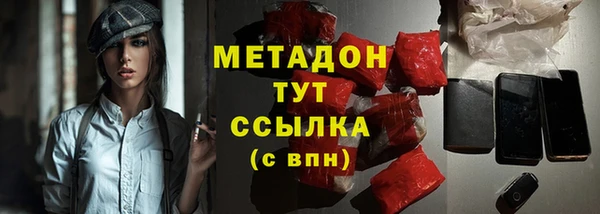 сатива Верея