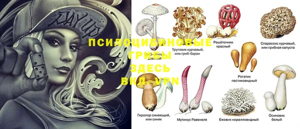 гидра Волосово
